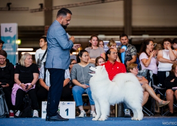 WDS HELSINKI - CÓŻ ZA WEEKEND