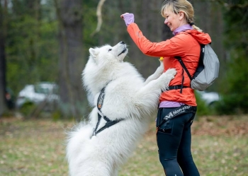 DOGTREKKING RODZINNY