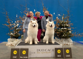 DUO CACIB BRNO