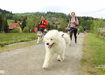 DOGTREKKING 2026